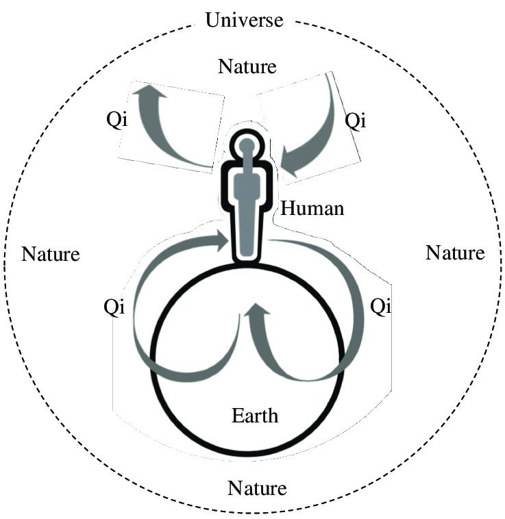 Earth–Body anatomy illustration — source visual 52